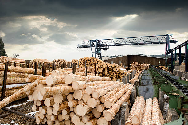 Primary Industries